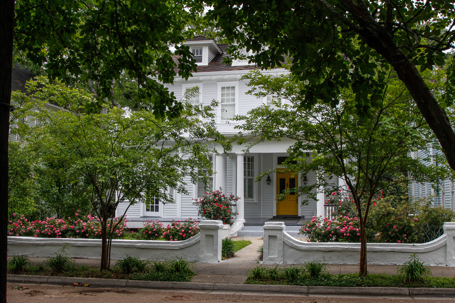 slideshow image