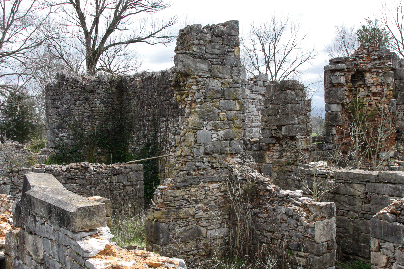 slideshow image