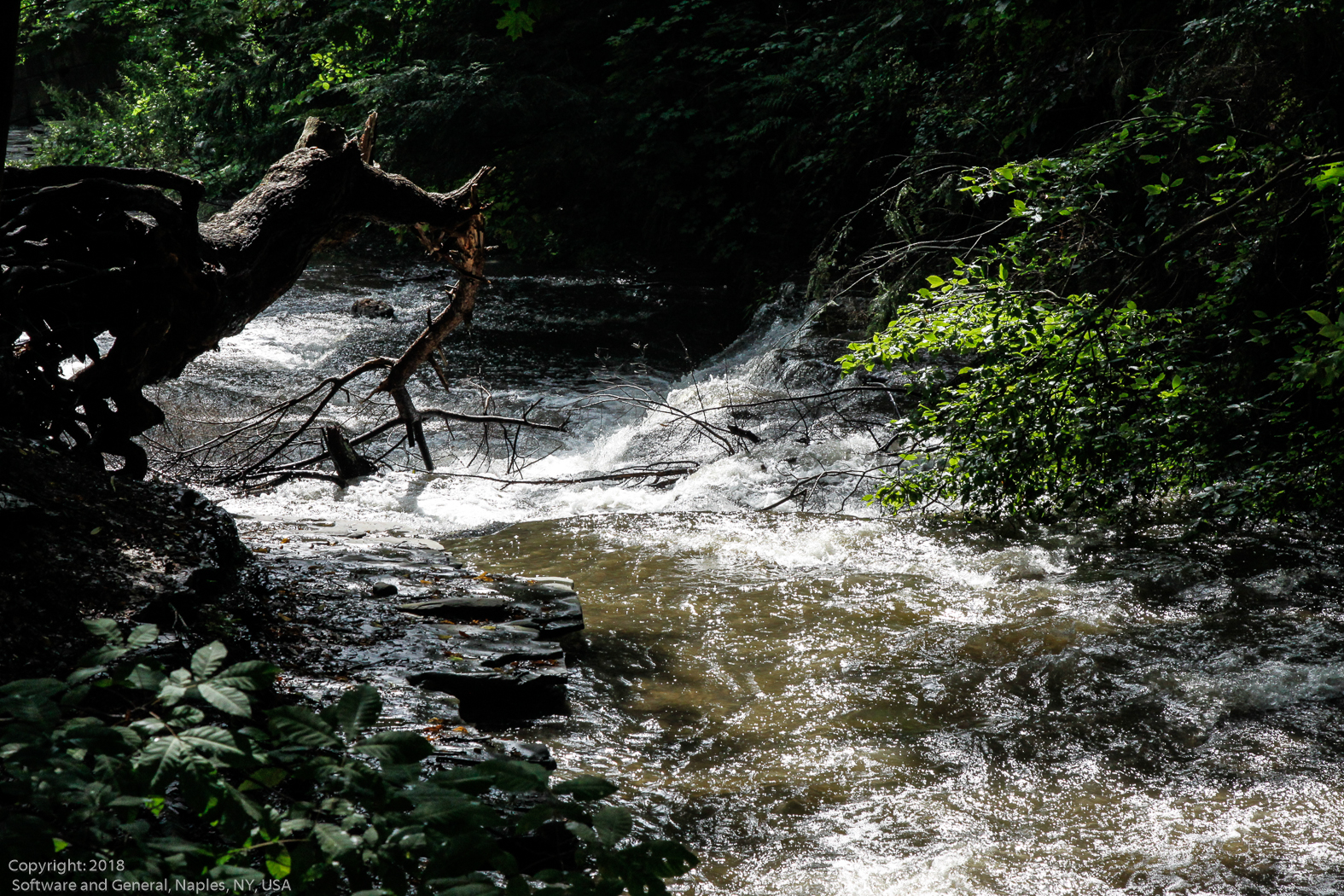 slideshow image