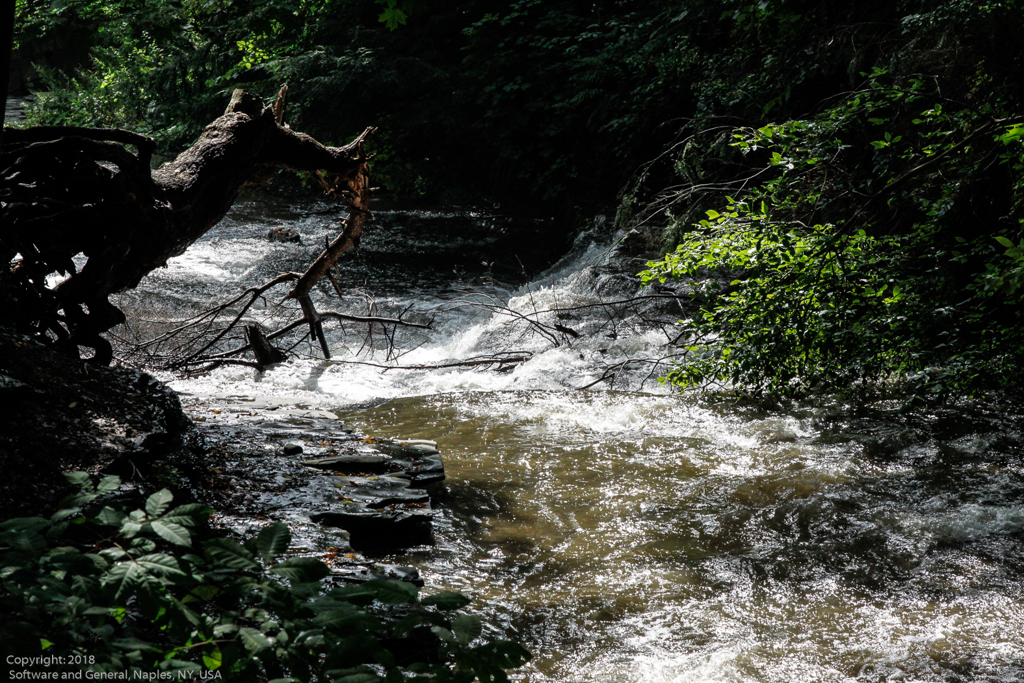 slideshow image