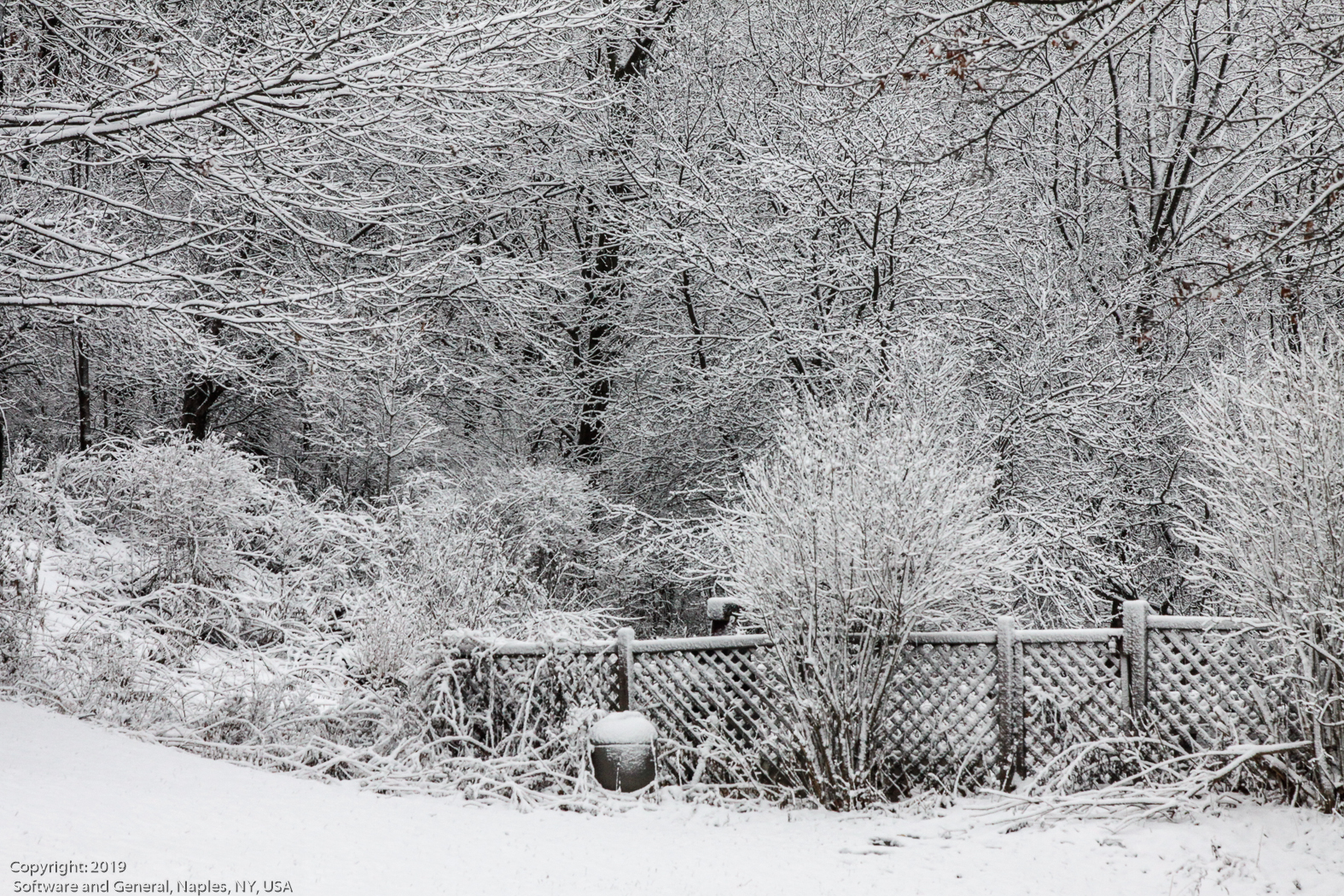 slideshow image