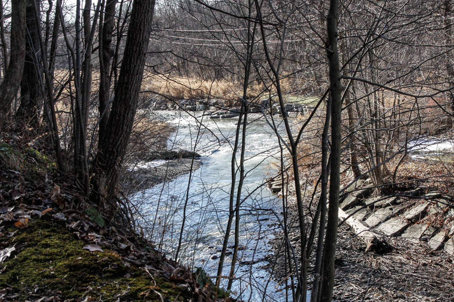 slideshow image