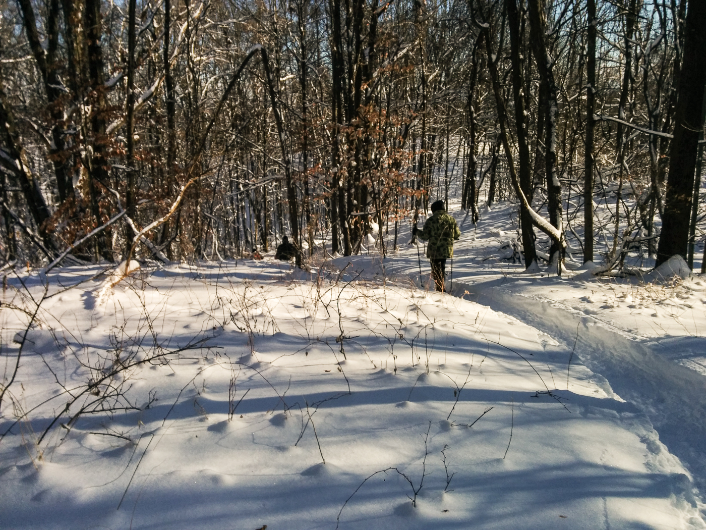 slideshow image