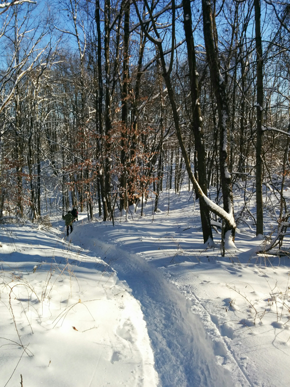 slideshow image