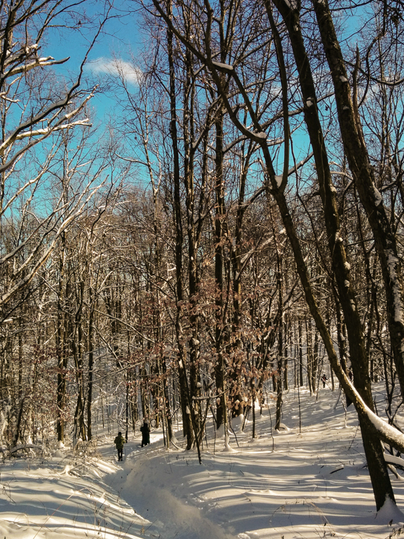 slideshow image