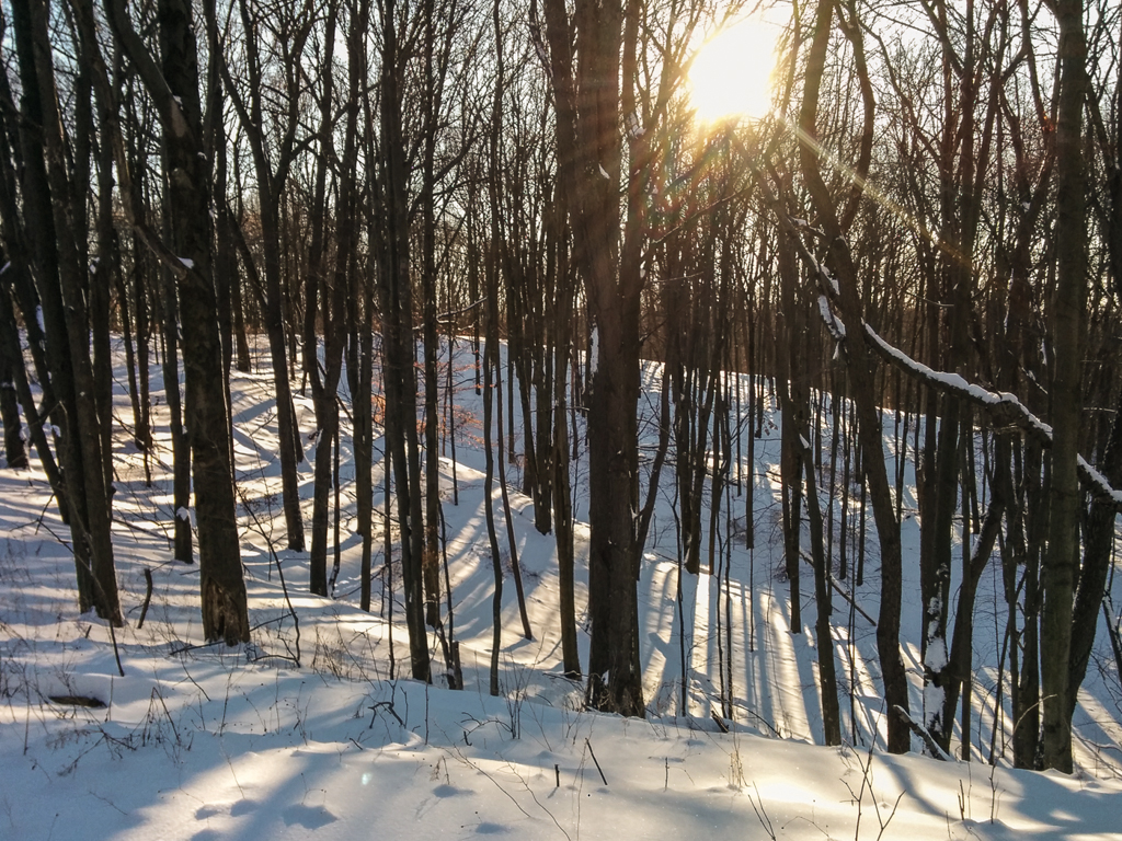 slideshow image