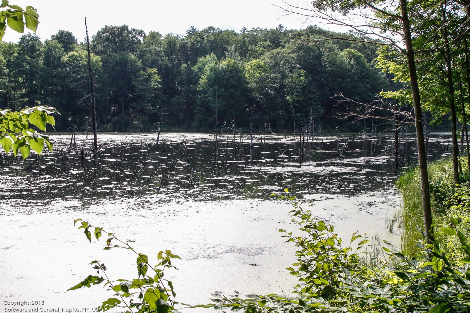 slideshow image
