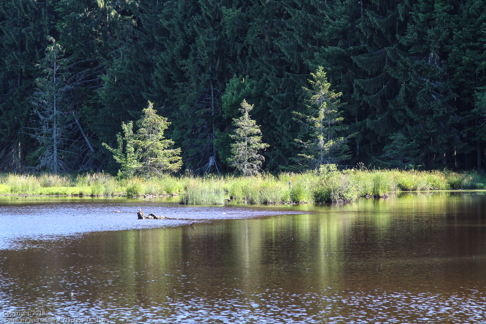 slideshow image