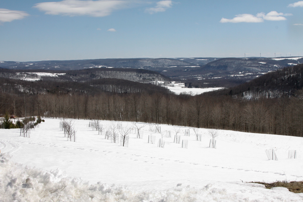 slideshow image