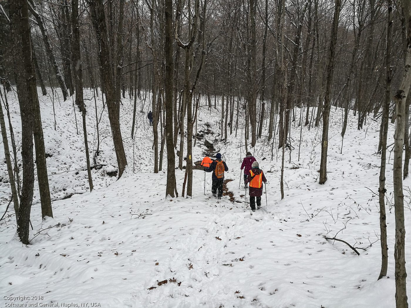 slideshow image