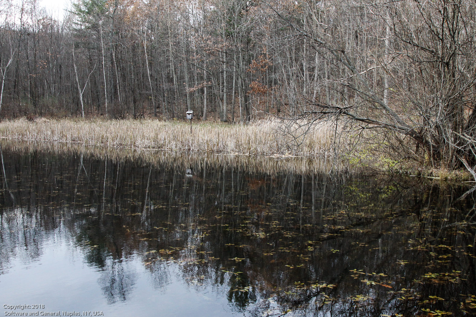 slideshow image