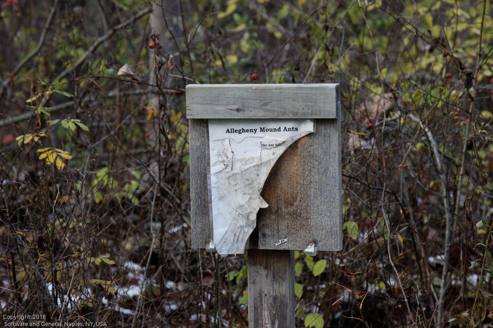 slideshow image