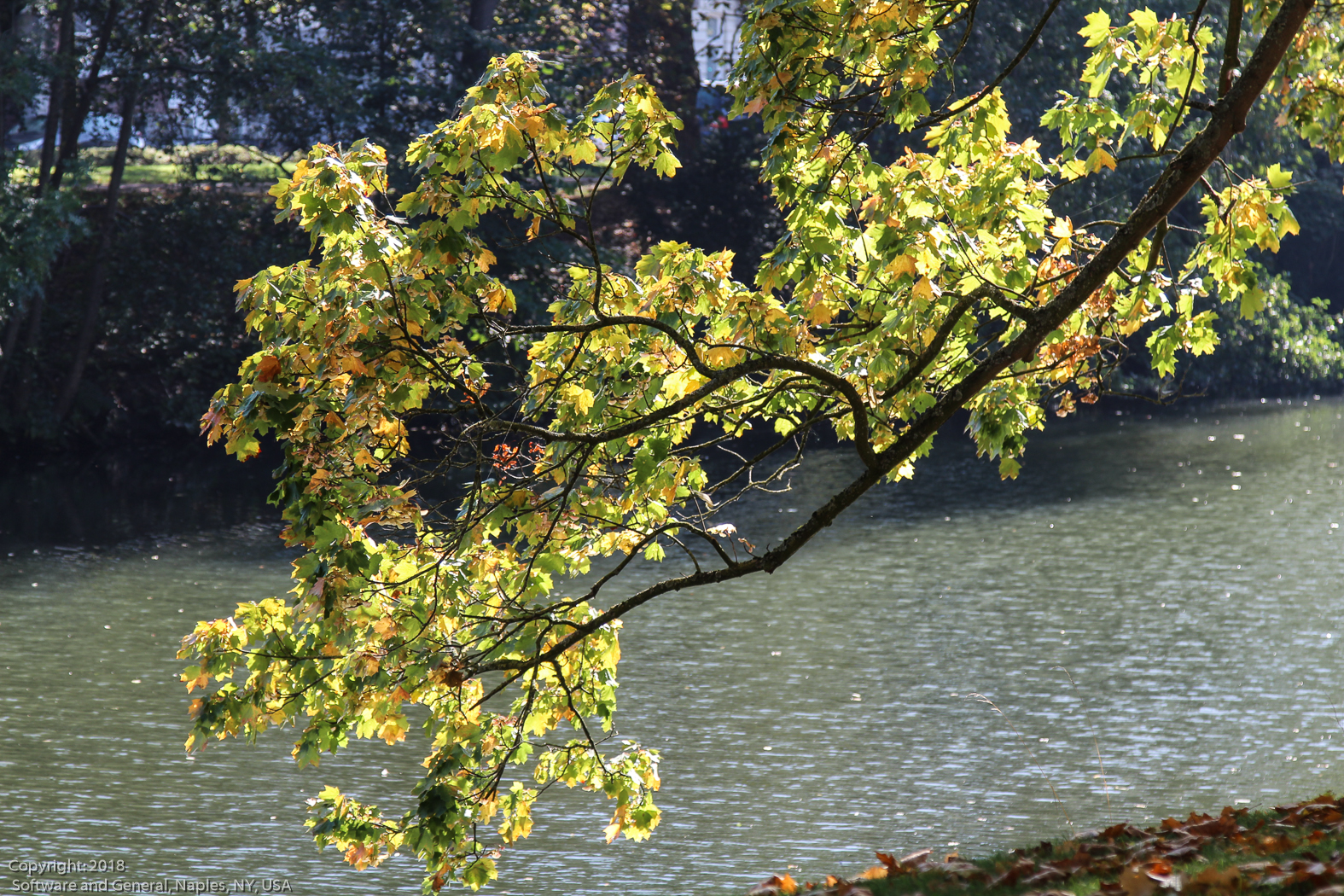 slideshow image