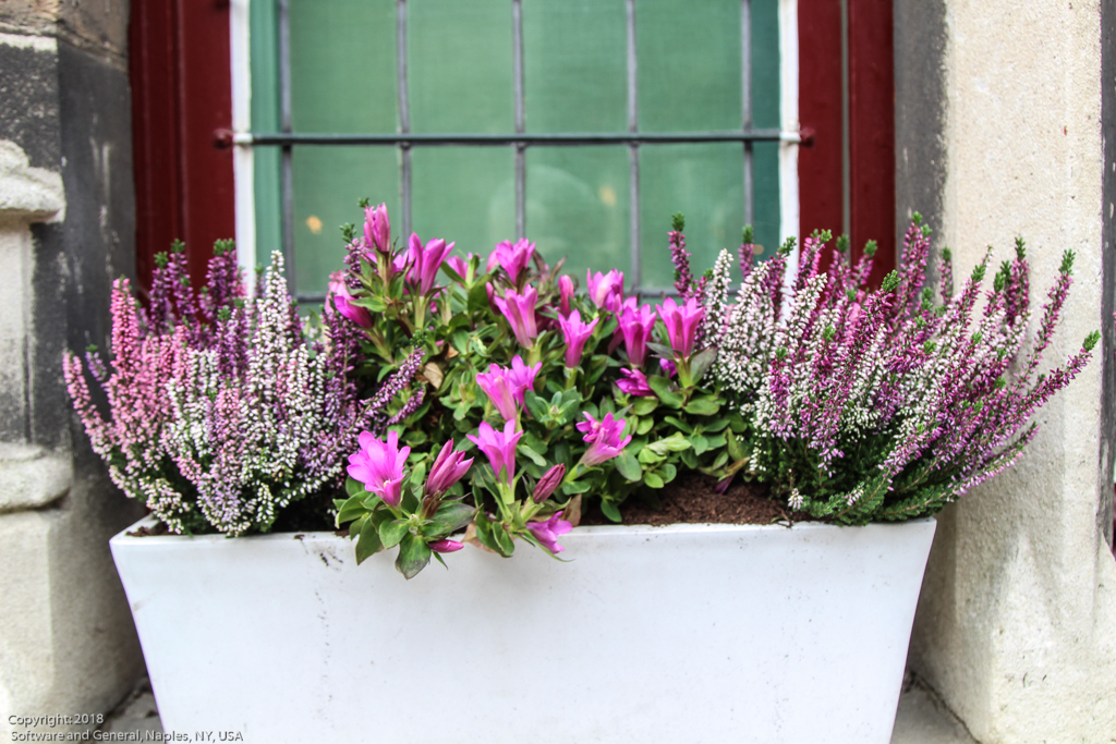slideshow image