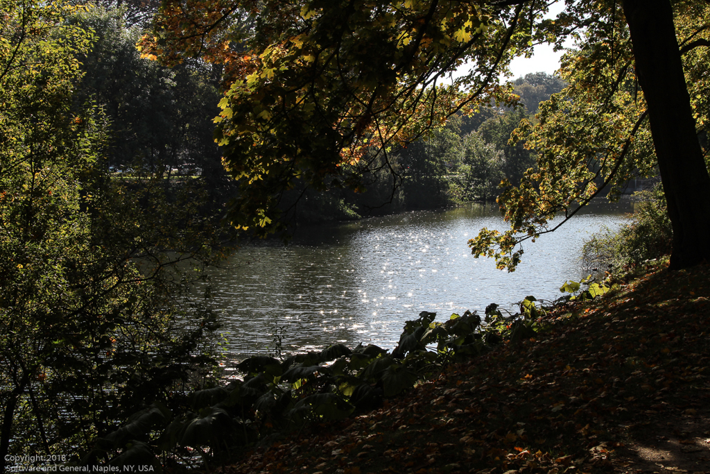 slideshow image