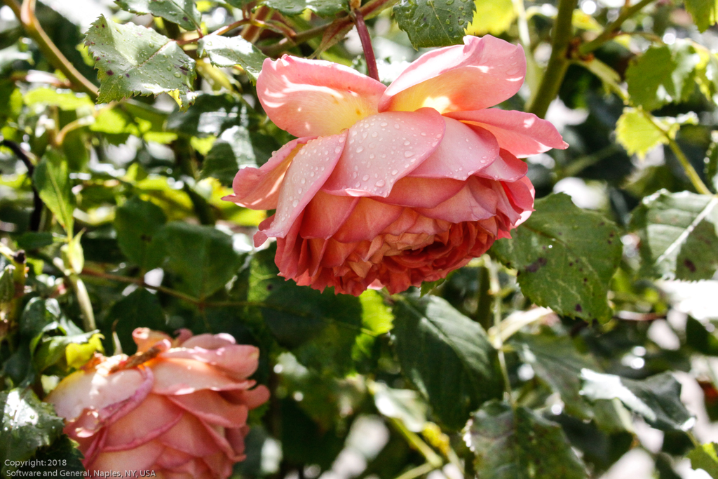 slideshow image