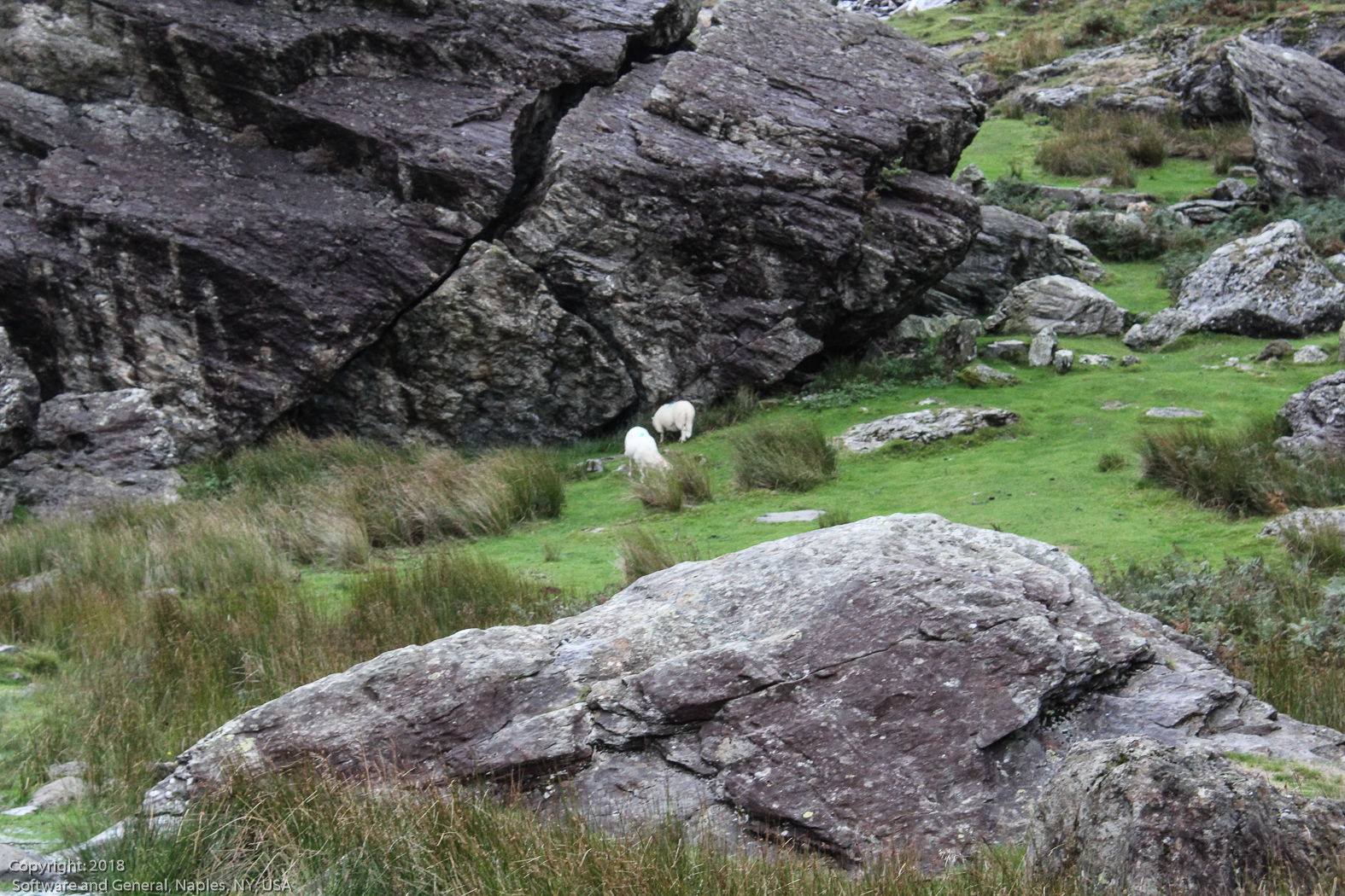 slideshow image