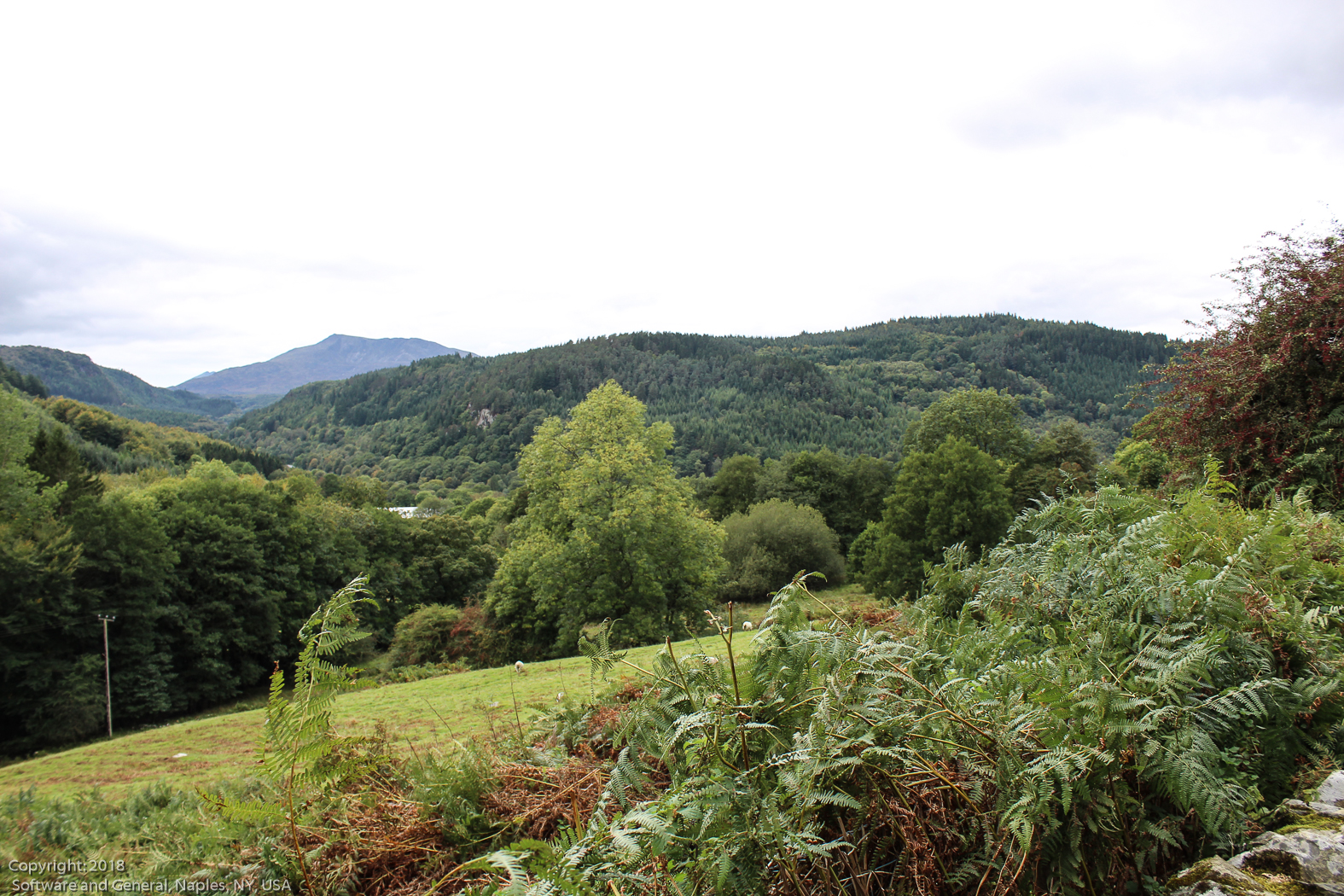 slideshow image