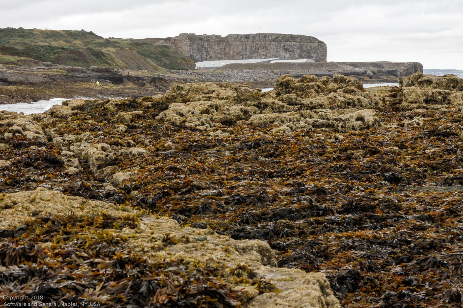 slideshow image