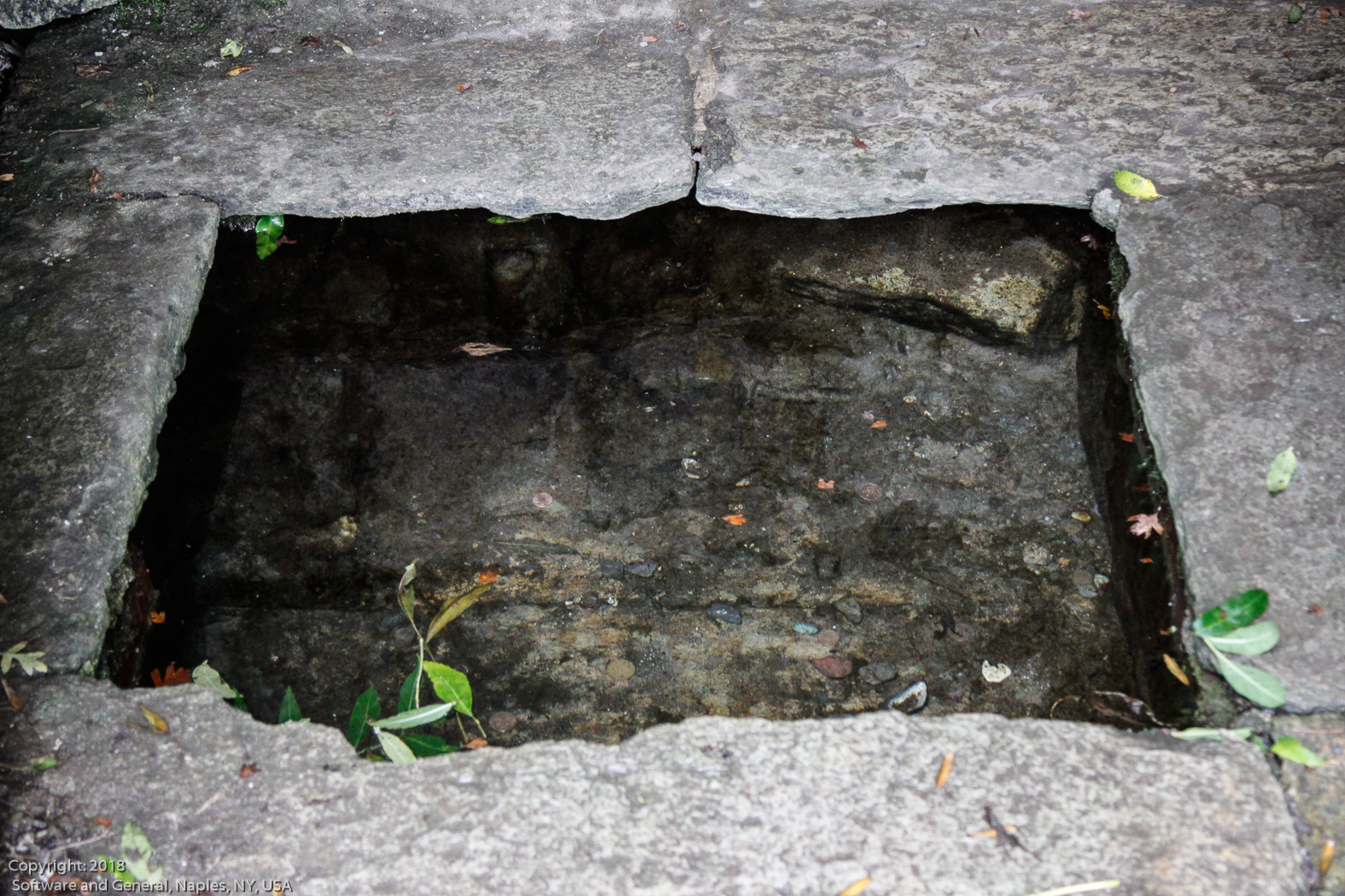 slideshow image