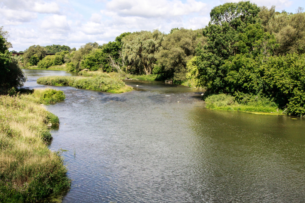 slideshow image