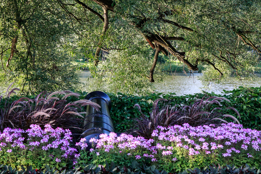 slideshow image