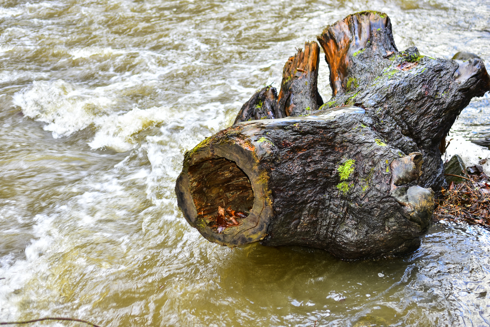 slideshow image