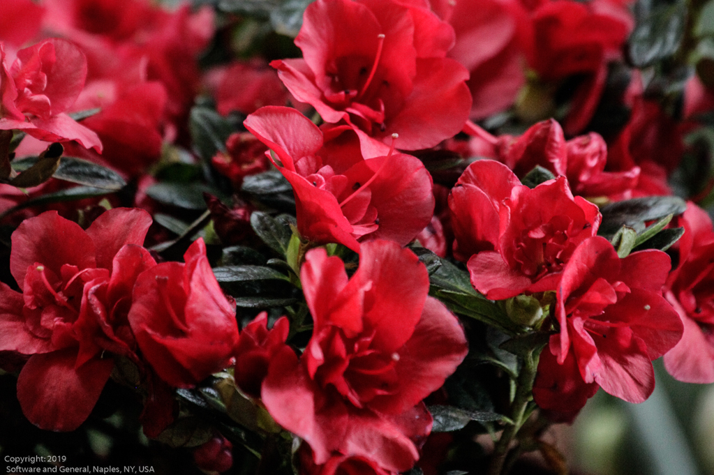 slideshow image