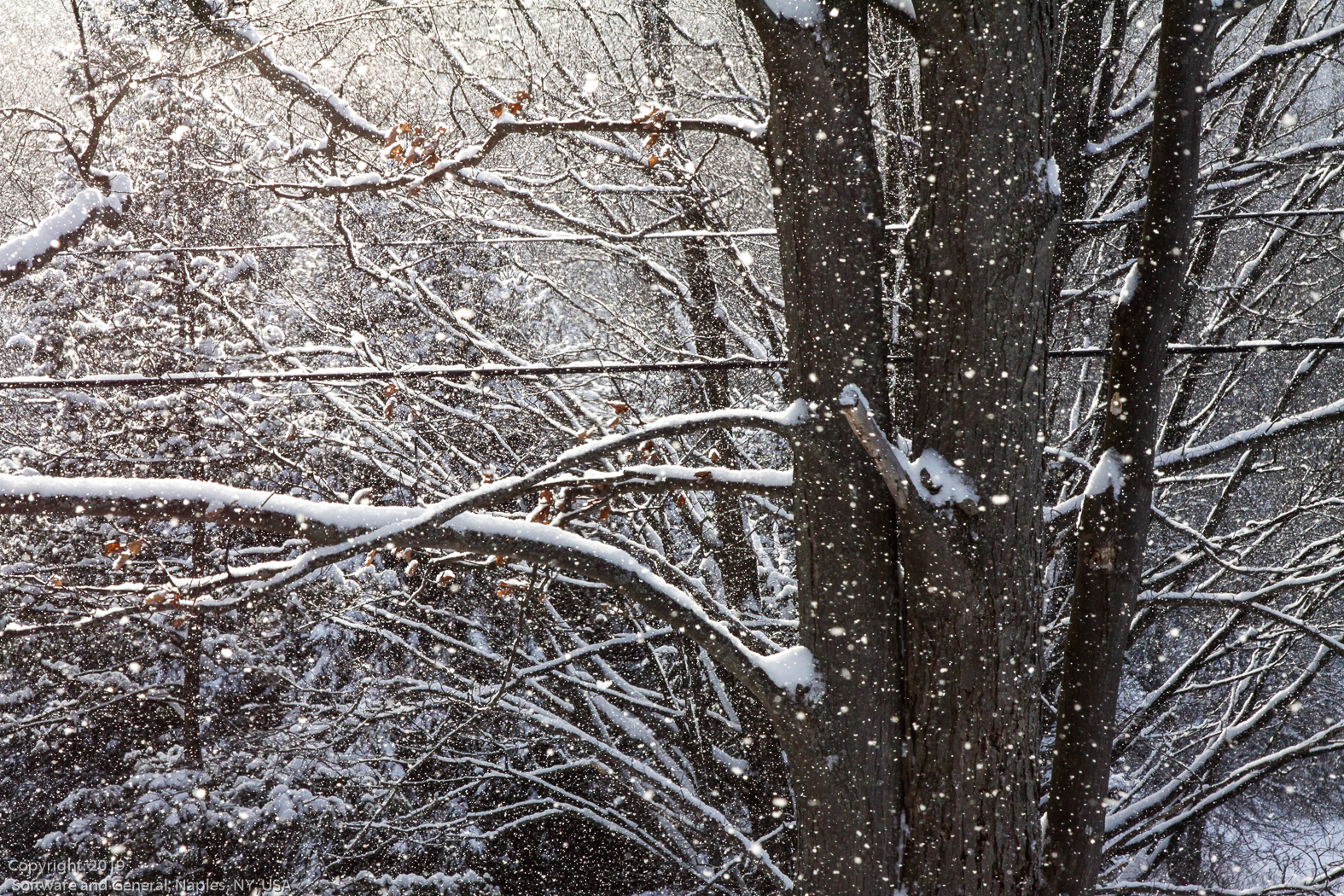 slideshow image
