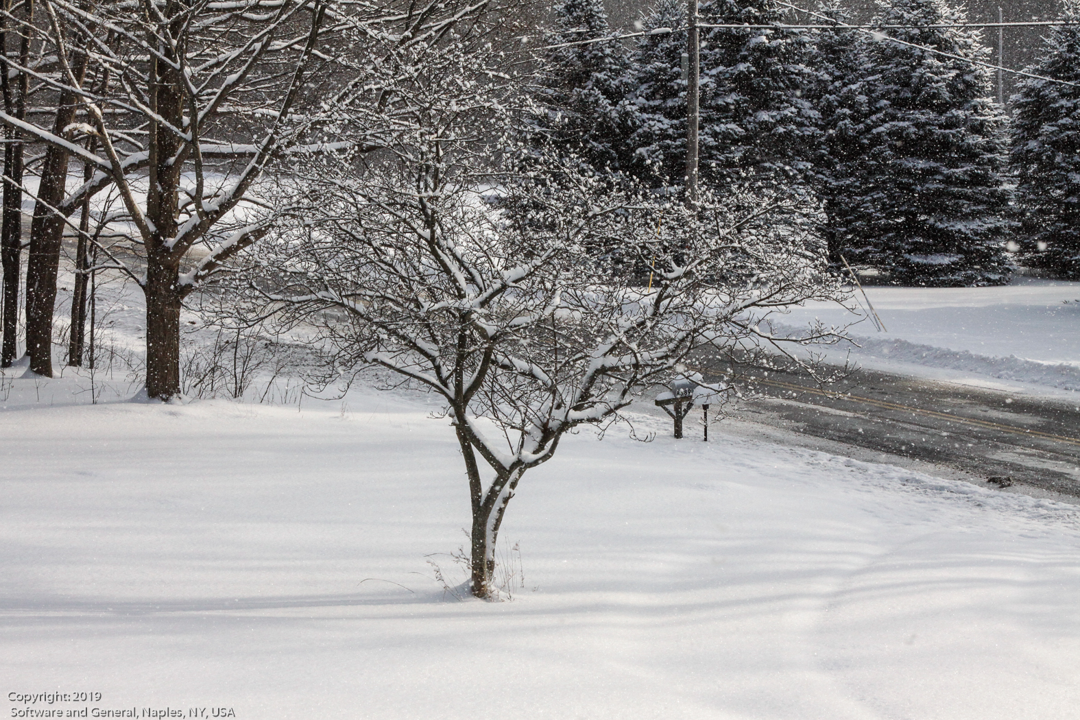 slideshow image