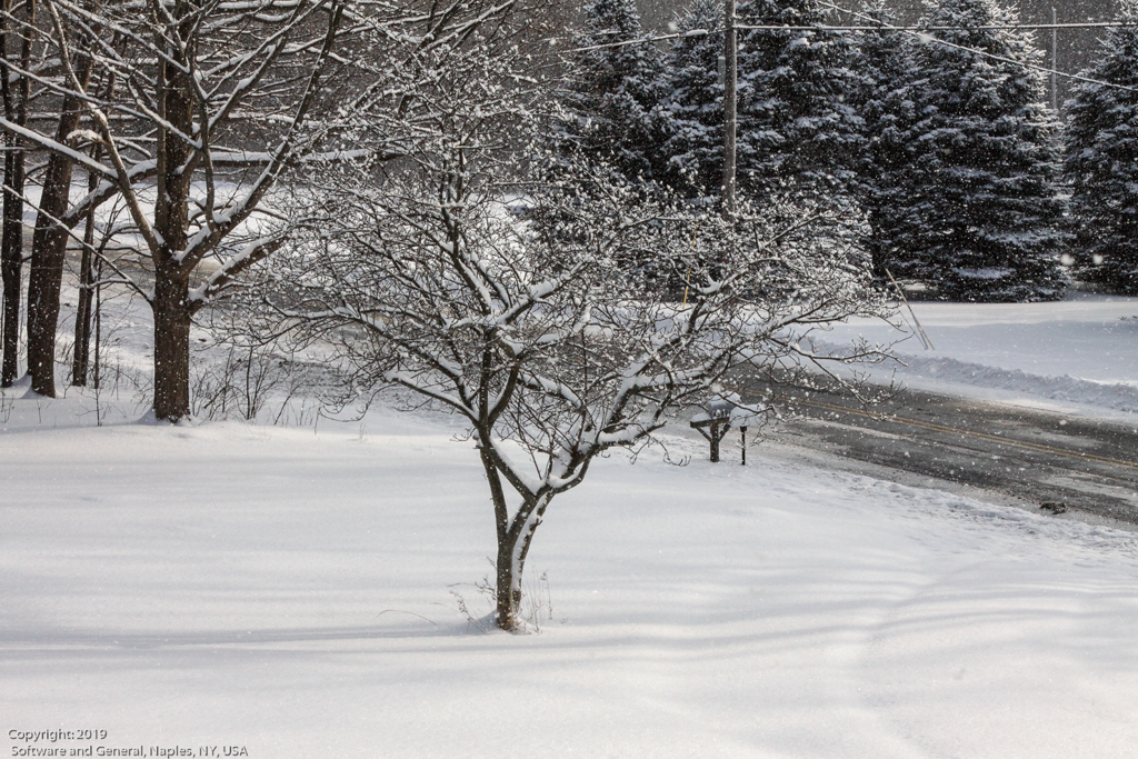 slideshow image