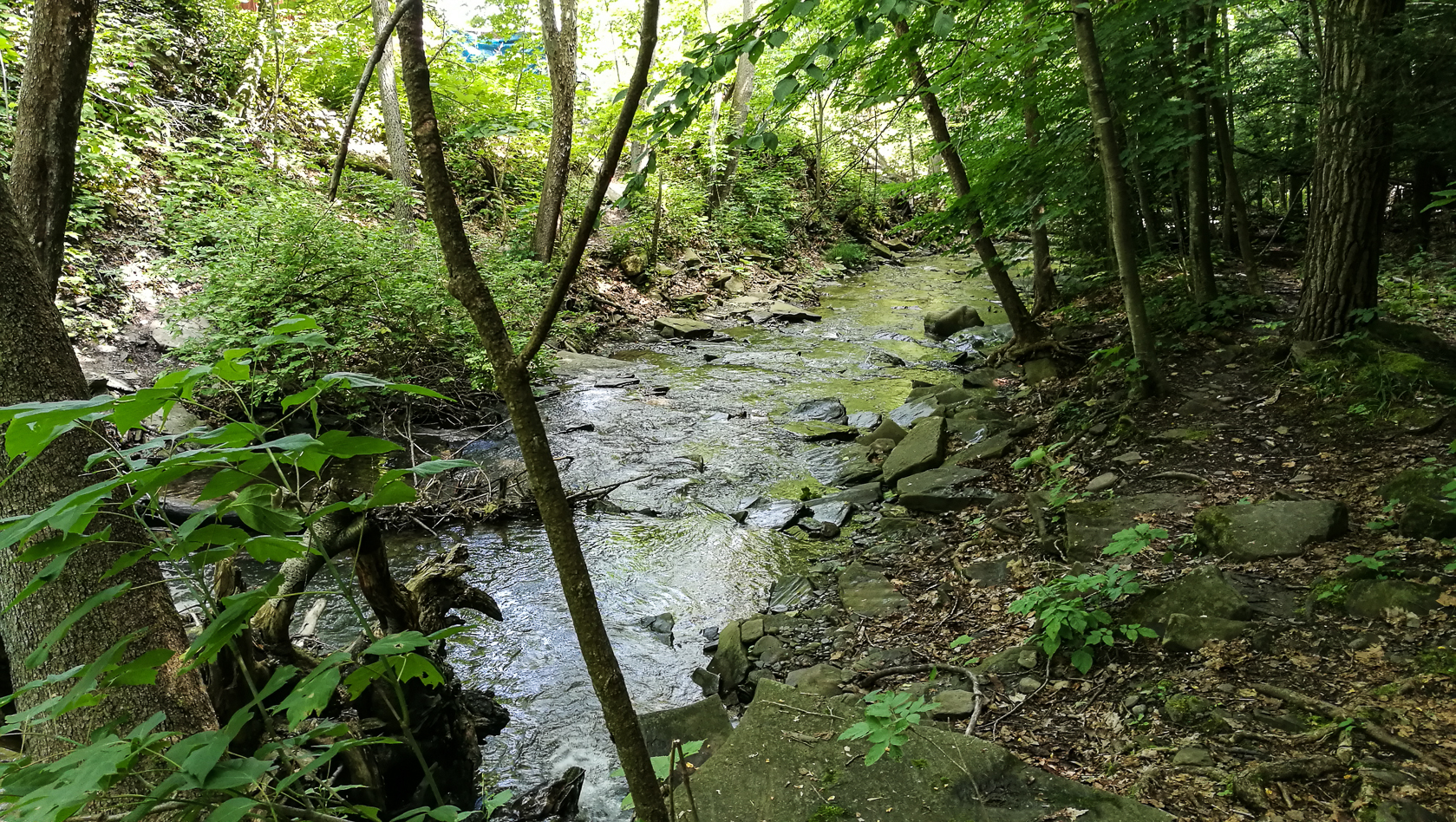slideshow image