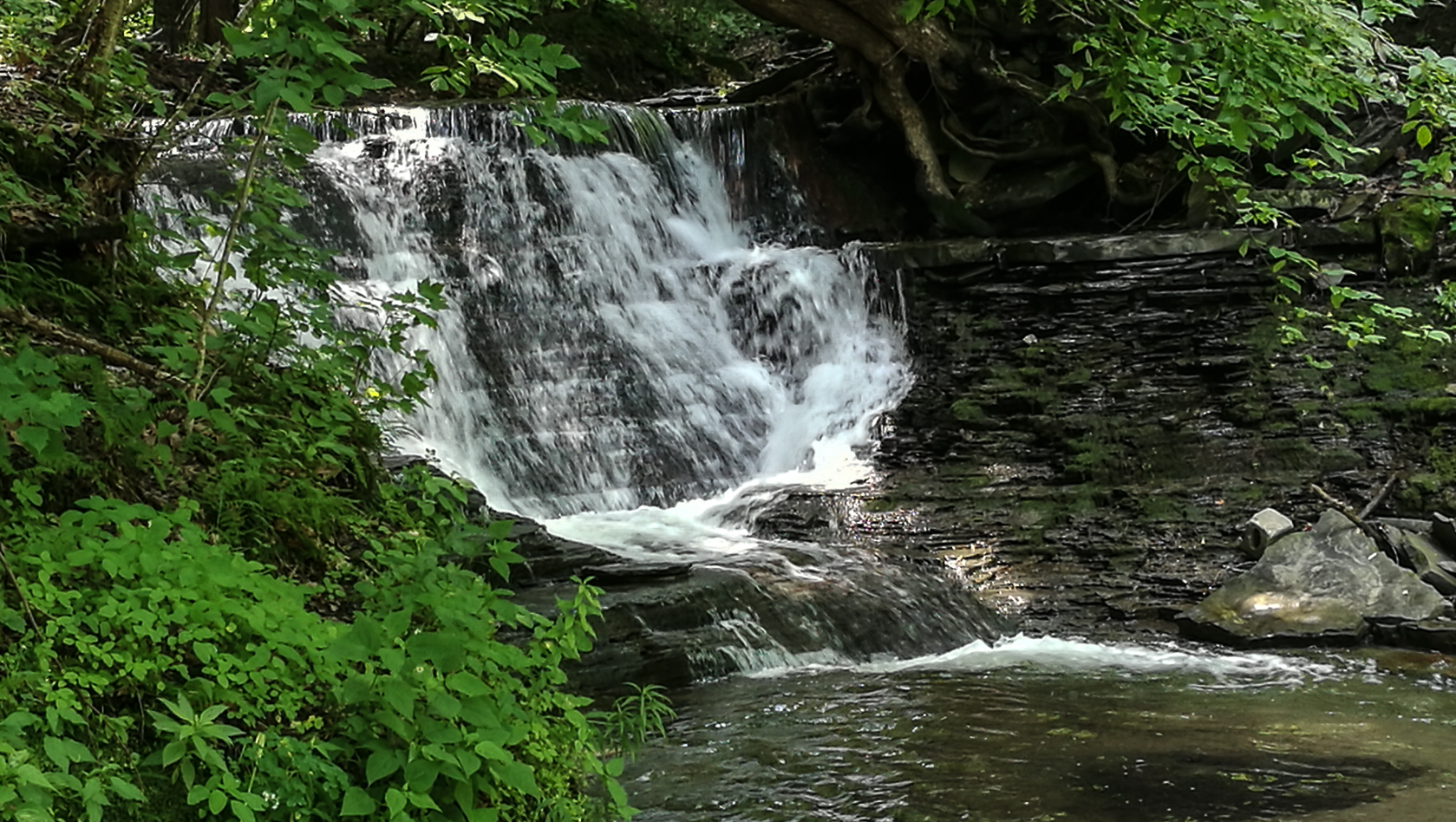 slideshow image