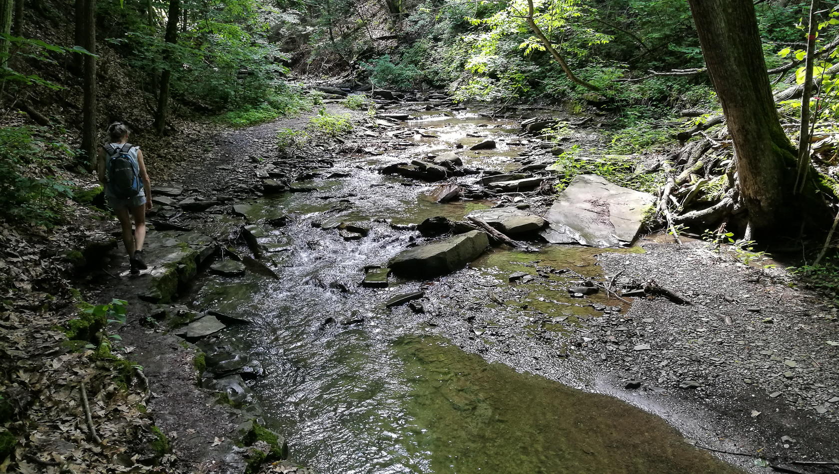 slideshow image