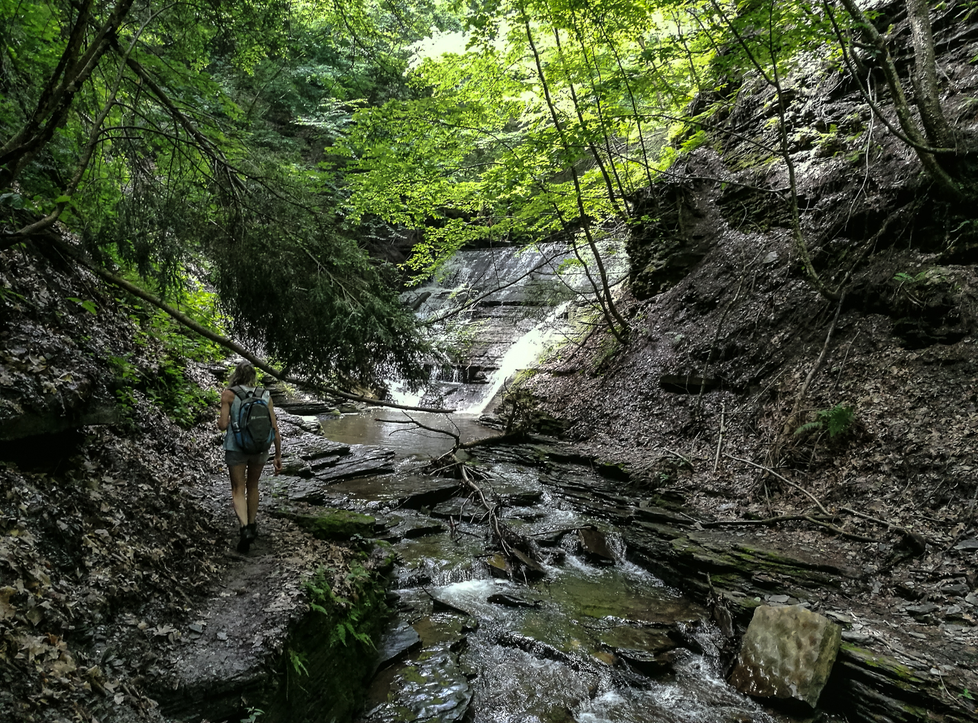 slideshow image