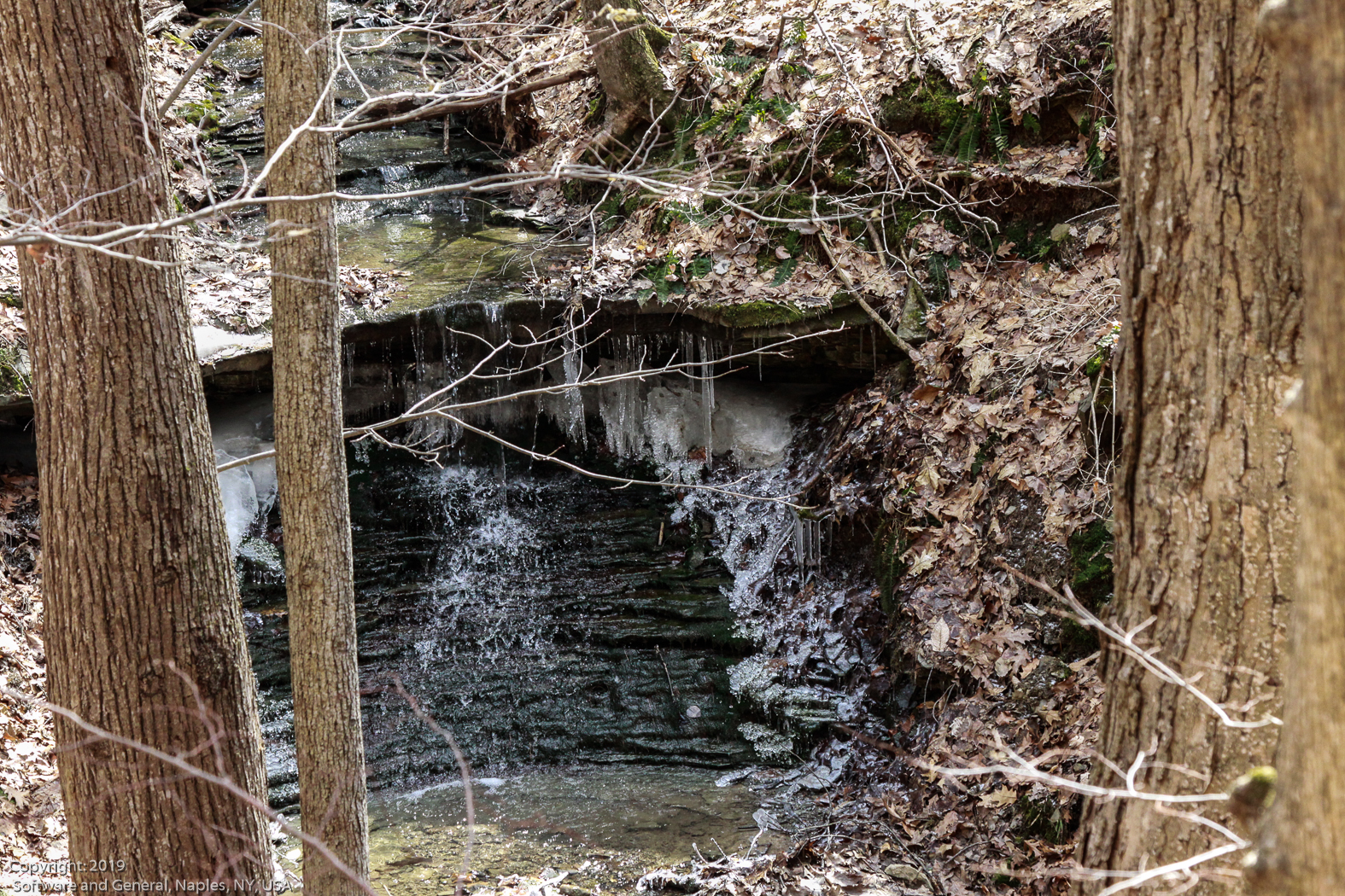 slideshow image