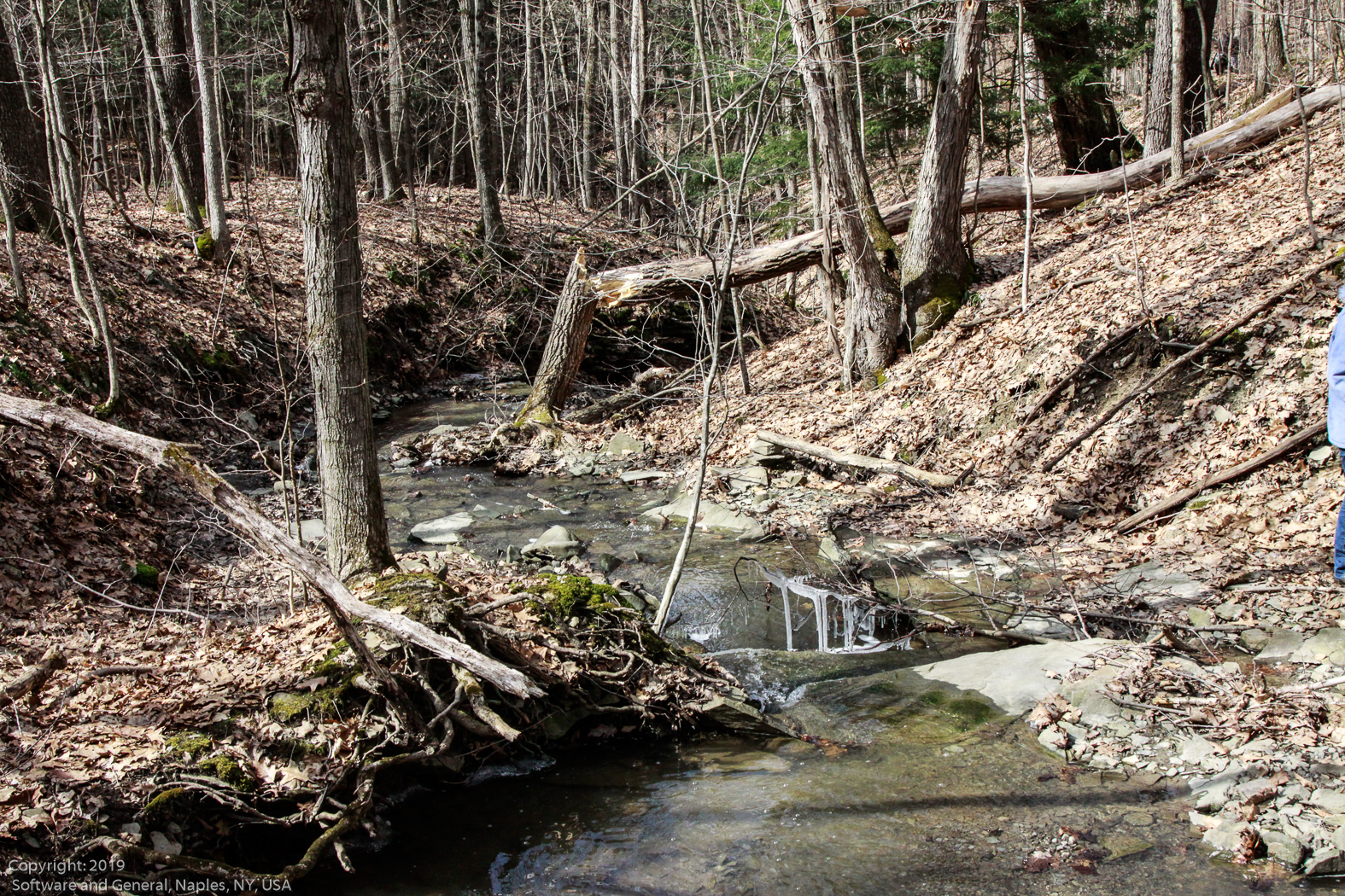 slideshow image