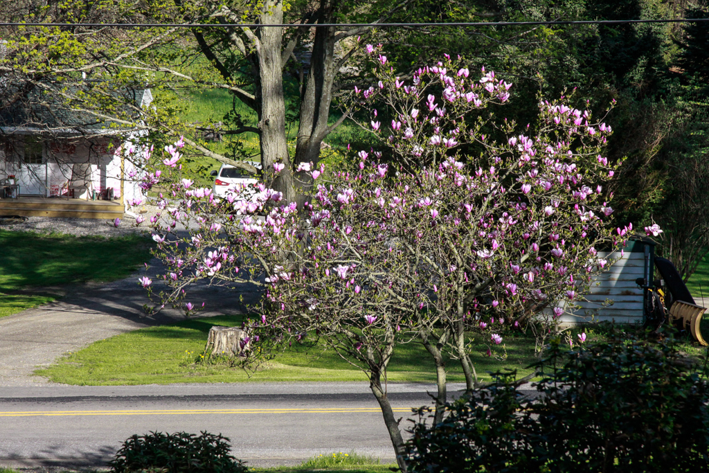 slideshow image