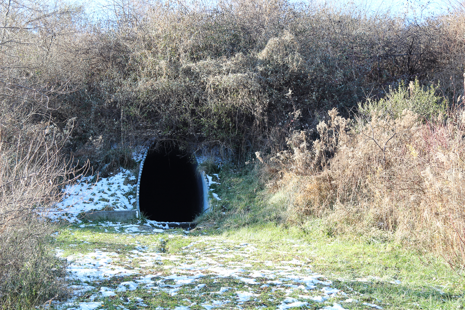 slideshow image