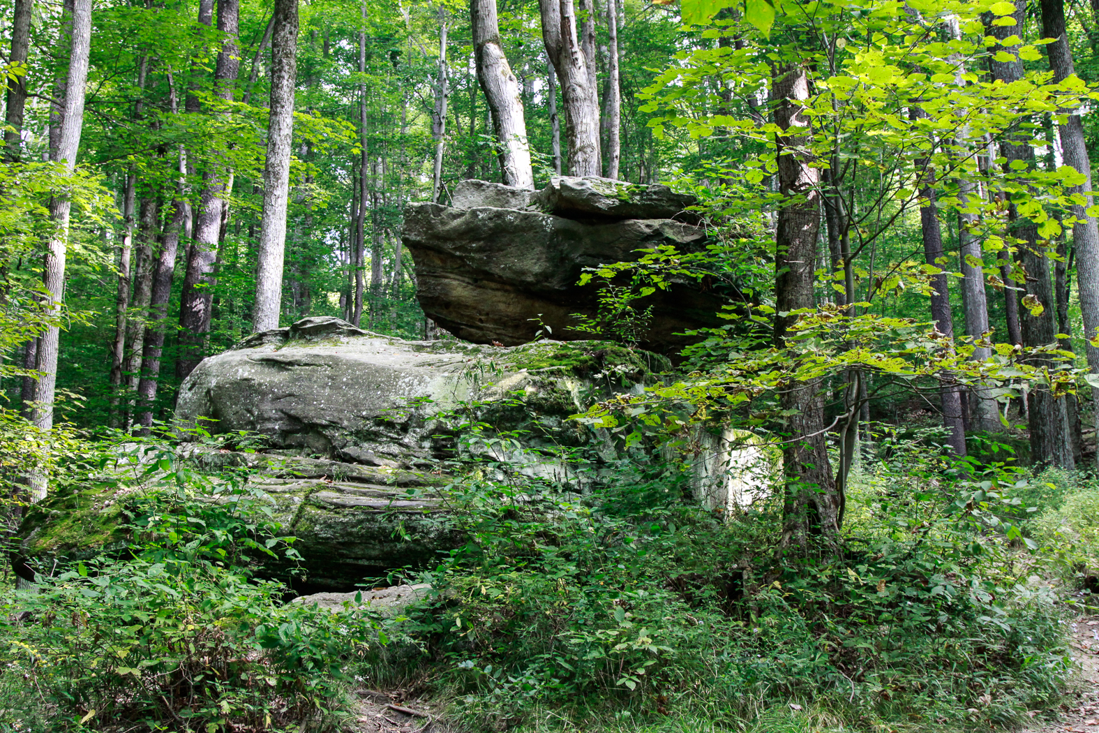slideshow image
