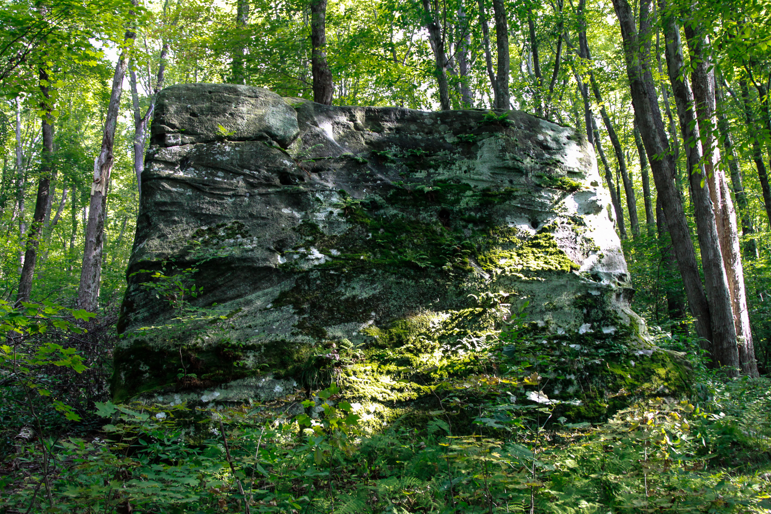slideshow image