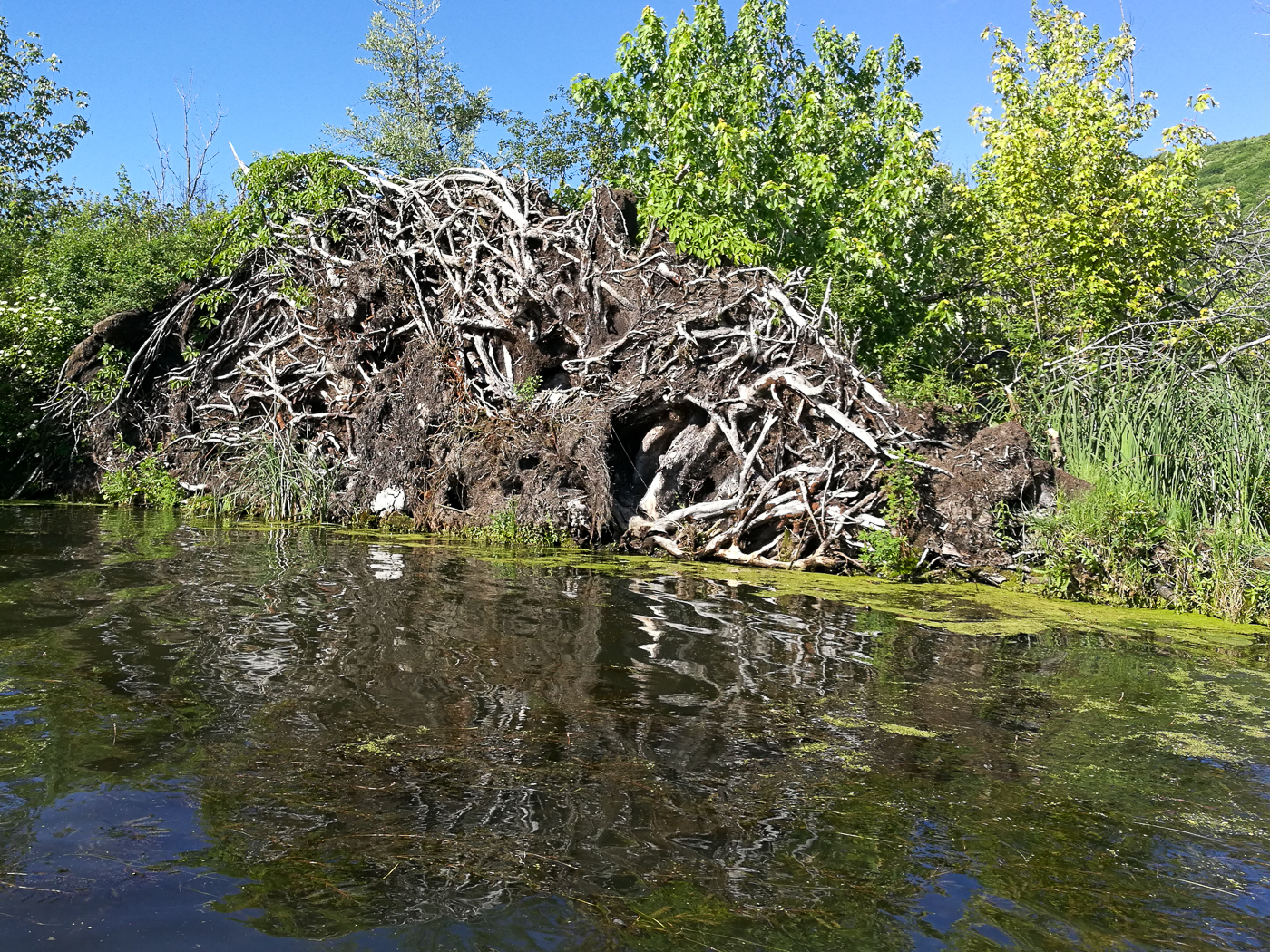 slideshow image