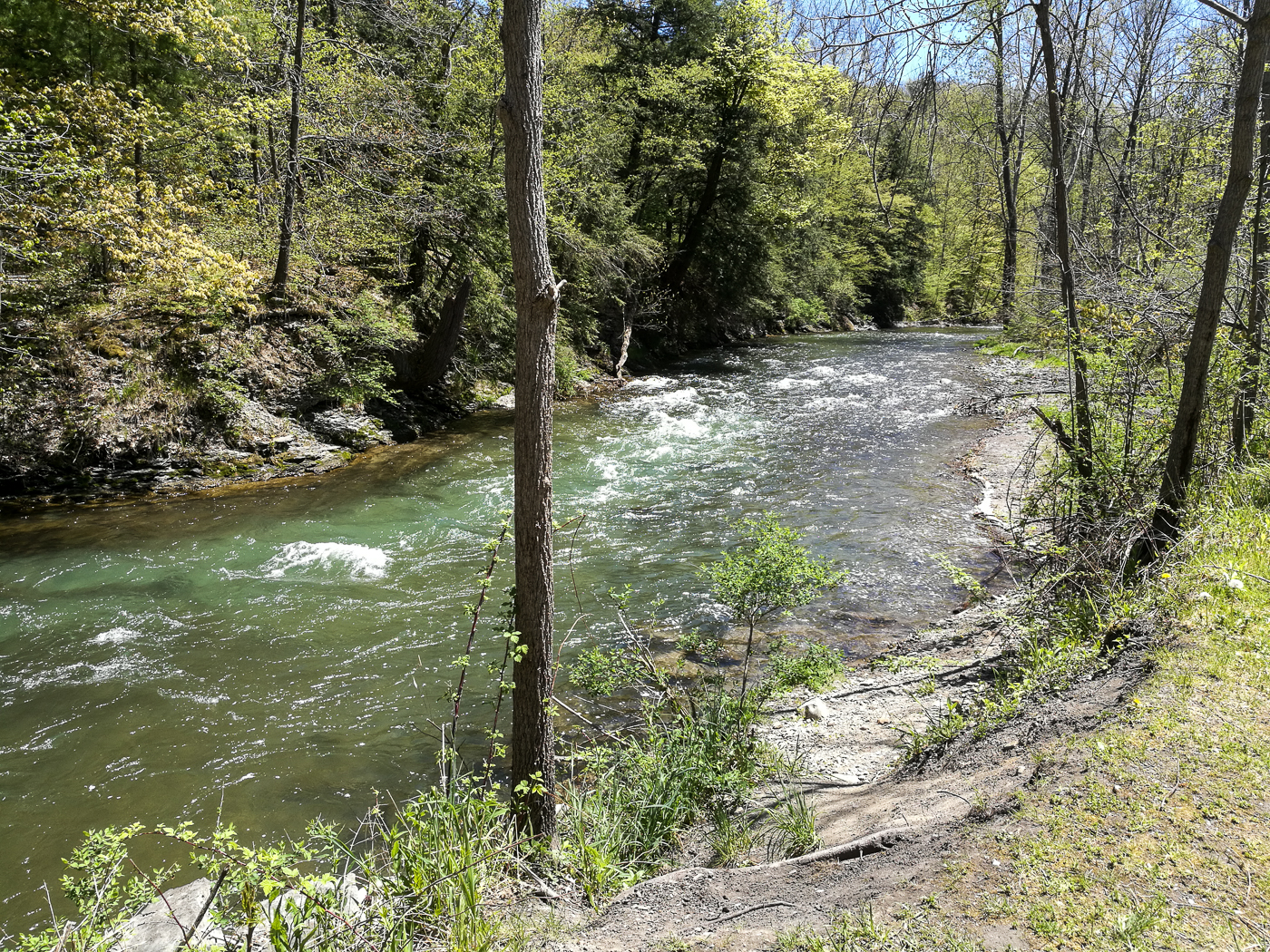 slideshow image