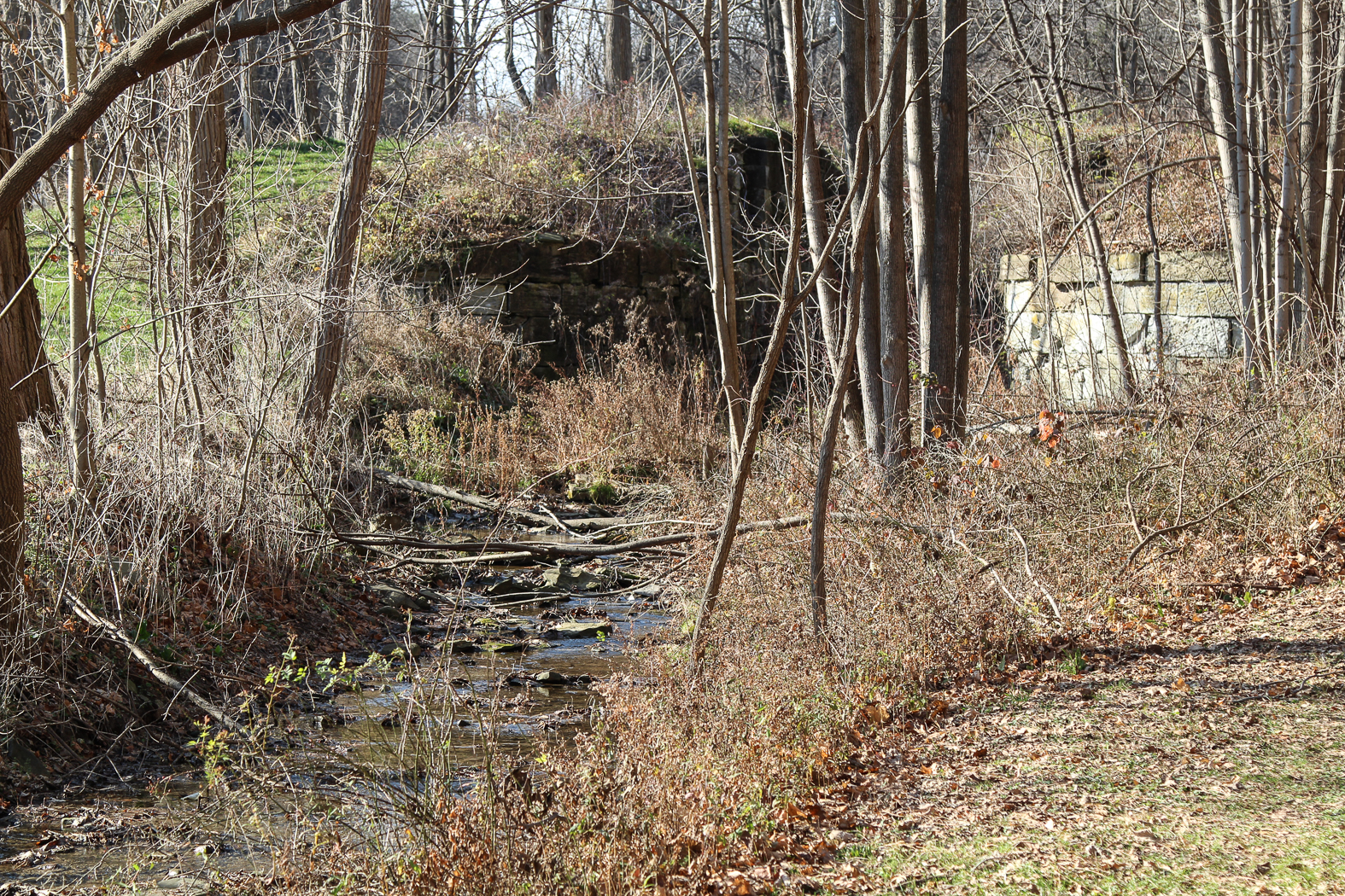 slideshow image