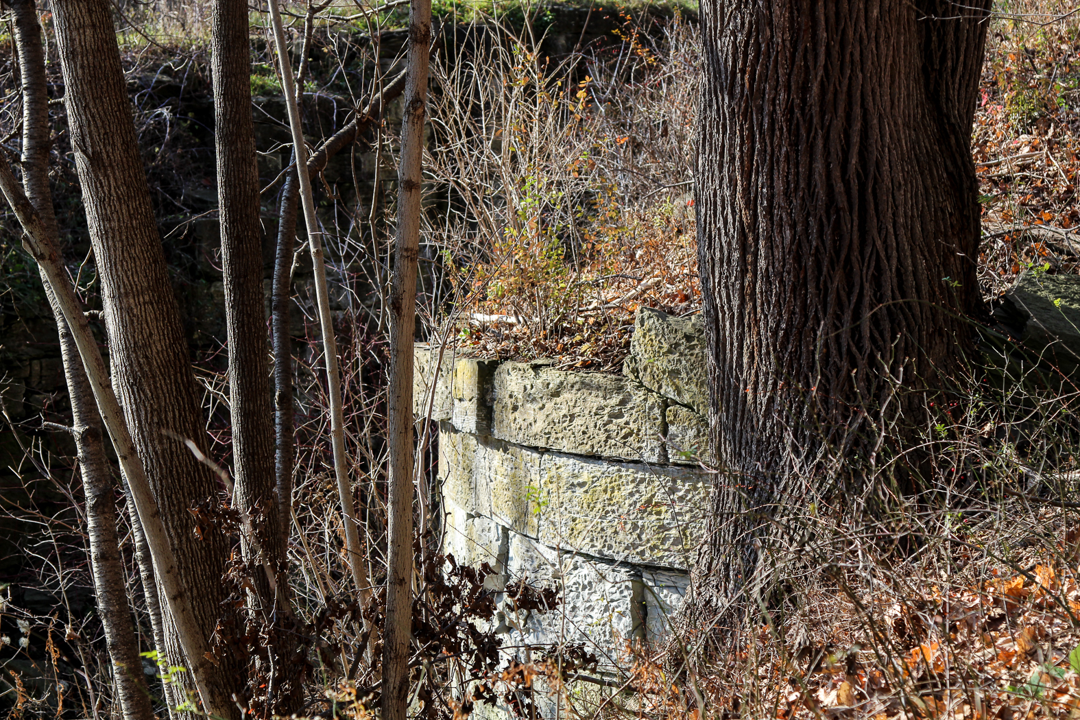 slideshow image