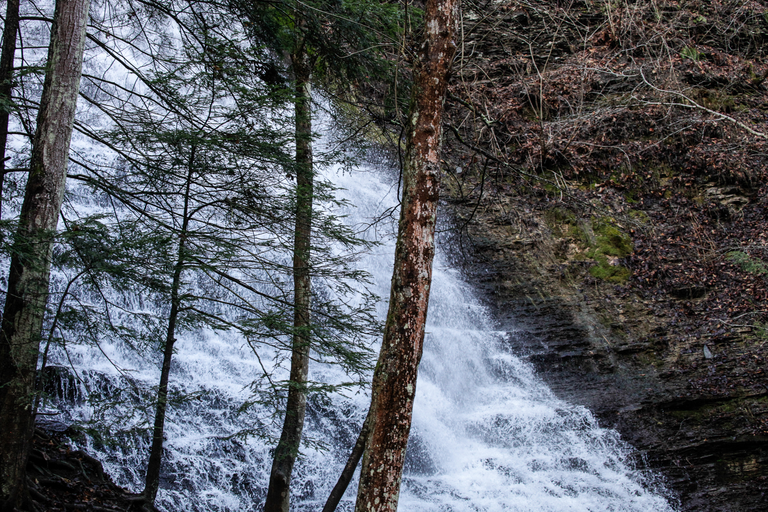 slideshow image