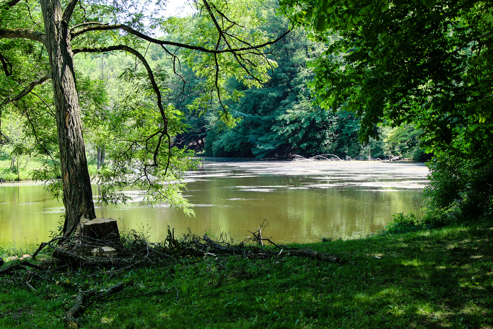 slideshow image
