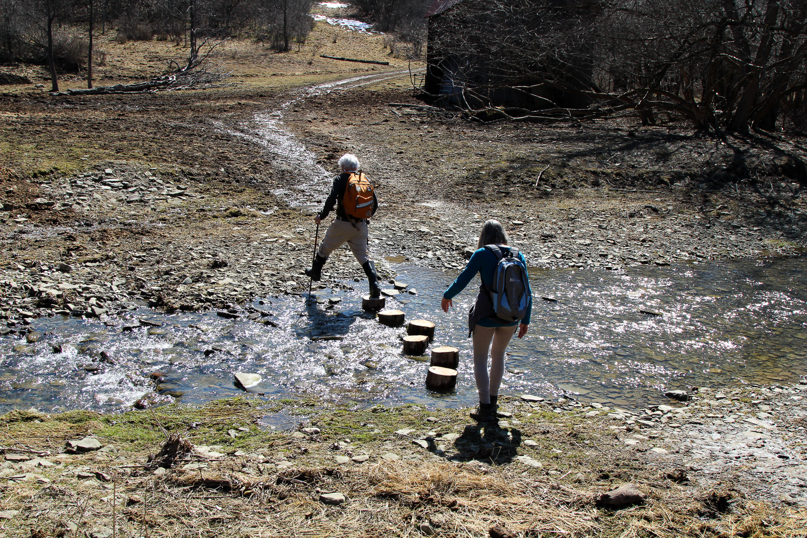 slideshow image