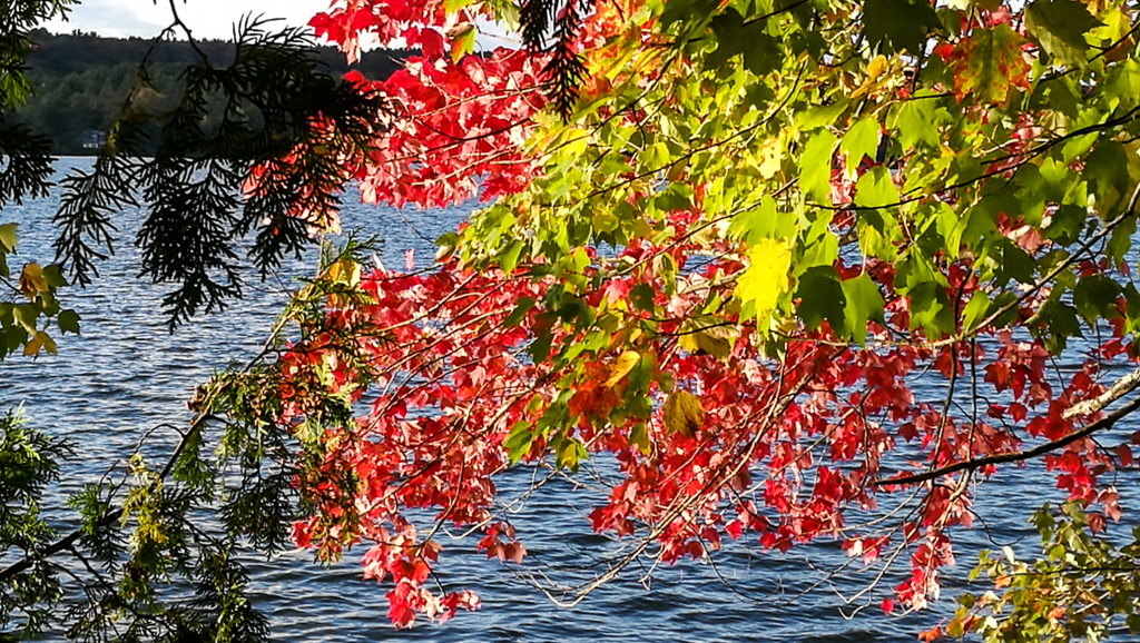 slideshow image