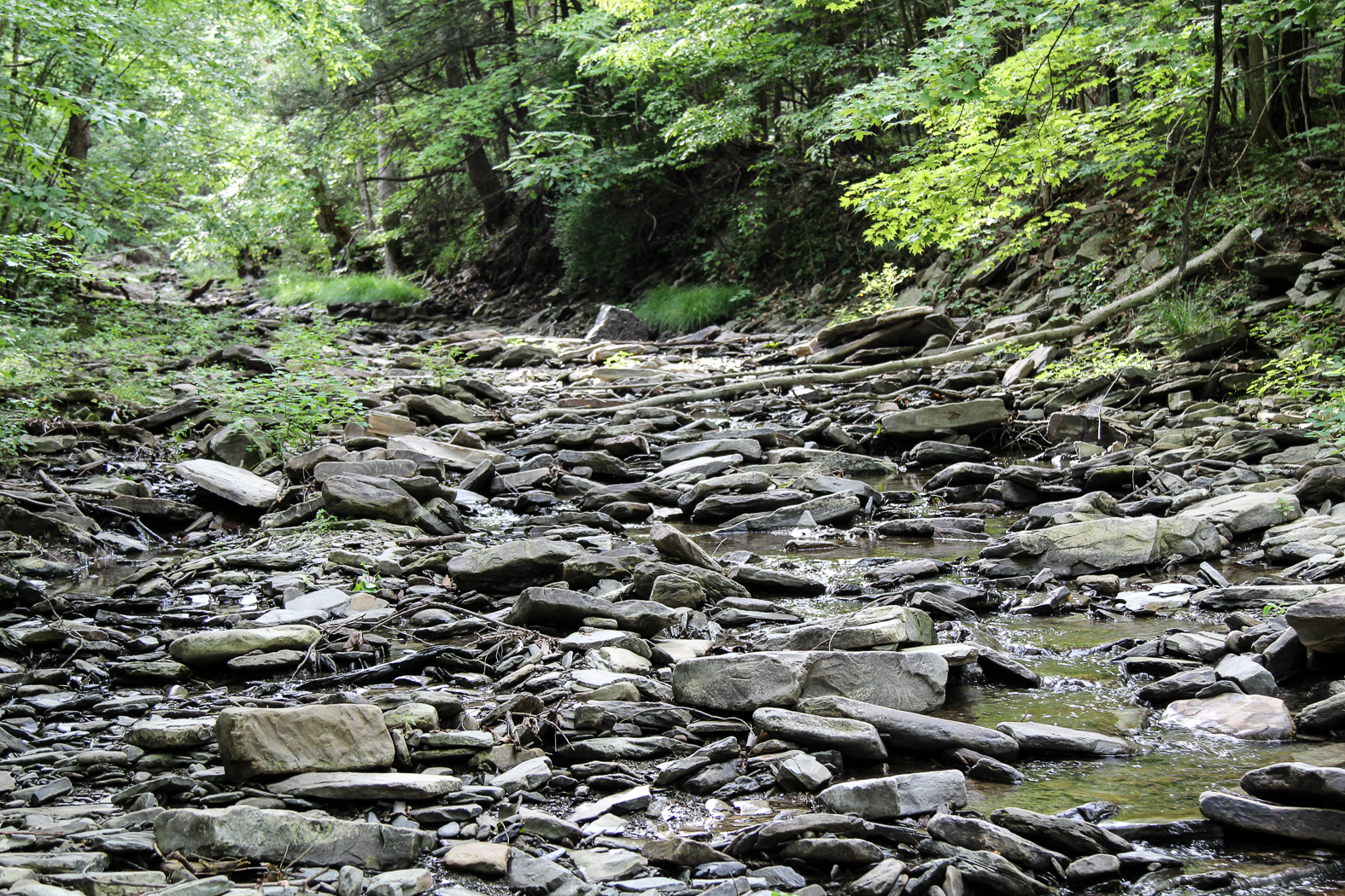 slideshow image